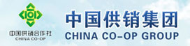 中国伟易博集团